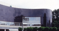 EnVision Global Inc.